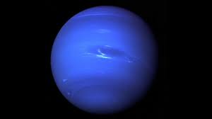 Neptunus